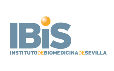 Postdoctoral position at the Institute of Biomedicine of Seville