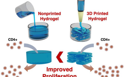 Síntesis a gran escala de células para combatir el cáncer mediante hidrogeles biohíbridos e impresión 3D
