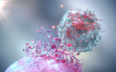 Identificado un mecanismo que podría potenciar la inmunoterapia frente al cáncer